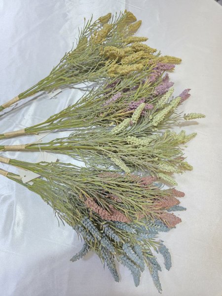 ورد لاڤندر معتق
