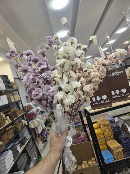 عرق اللوز الكبير